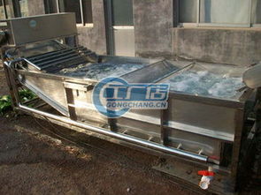 國泰機械gt 300蘿卜清洗機